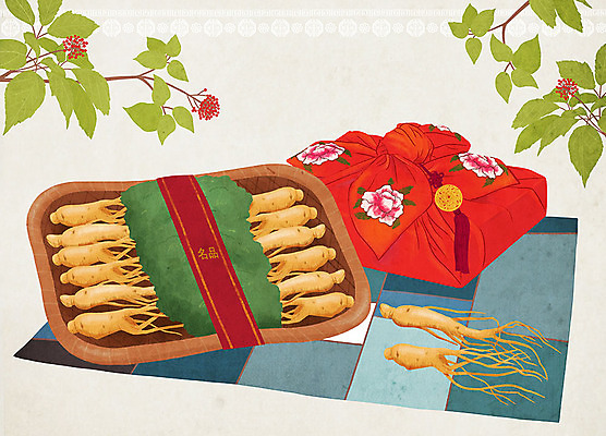 PSD 음식 일러스트 포장 선물 사람없음 선물상자 약재 보자기 인삼 특산물 지역 건강식품 조각보 선물세트 인삼꽃 국내일러스트 꽃 건강 상자 약 보자기_천 삼 파일형식 천_직물