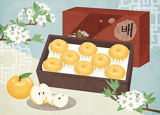 PSD 접시 음식 과일 일러스트 선물 사람없음 선물상자 전통문양 배 특산물 지역 선물세트 배꽃 국내일러스트 전통 문양 식기 꽃 상자 파일형식