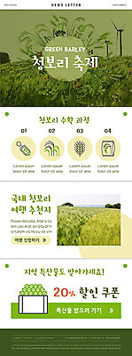 PSD 템플릿 ZIP 여행 웹템플릿 이벤트 사람없음 초록색 축제 수확 쿠폰 특산물 뉴스레터 청보리 청보리밭 지역축제 대한민국축제 이미지템플릿 컬러 밭 농업 보리 파일형식