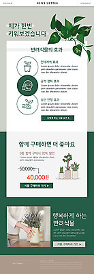 PSD 식물 템플릿 손 여자 ZIP 화분 웹템플릿 잎 함께함 한명 이벤트 신체부위 초록색 뉴스레터 식물키우기 이미지템플릿 1 컬러 컨셉 사람 파일형식