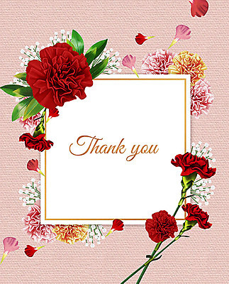 PSD 꽃 분홍색 여러송이 잎 꽃백그라운드 일러스트 프레임 사람없음 컬러풀 감사카드 어버이날 스승의날 카네이션 감사 꽃프레임 프레임일러스트 국내일러스트 카드프레임 식물 기념일 감정 컬러 다수 백그라운드 카드_감사 파일형식