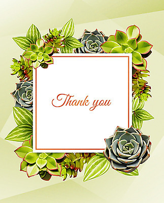 PSD 꽃 여러송이 잎 꽃백그라운드 일러스트 프레임 사람없음 초록색 컬러풀 감사카드 감사 꽃프레임 다육식물 프레임일러스트 보테니컬아트 국내일러스트 카드프레임 식물 감정 컬러 다수 백그라운드 카드_감사 파일형식