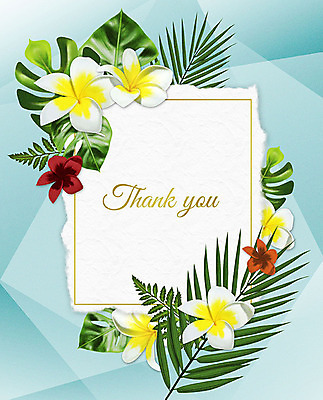 PSD 꽃 여러송이 잎 꽃백그라운드 일러스트 프레임 사람없음 컬러풀 감사카드 감사 꽃프레임 몬스테라 프레임일러스트 보테니컬아트 국내일러스트 카드프레임 식물 감정 컬러 다수 백그라운드 카드_감사 파일형식