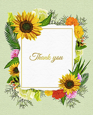 PSD 꽃 여러송이 잎 꽃백그라운드 일러스트 해바라기 프레임 사람없음 컬러풀 감사카드 감사 꽃프레임 프레임일러스트 국내일러스트 카드프레임 식물 감정 컬러 다수 백그라운드 카드_감사 파일형식