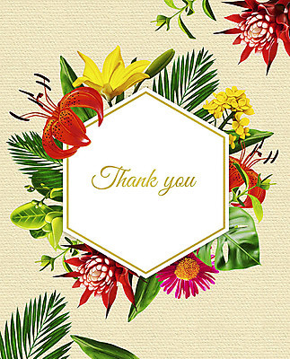 PSD 꽃 여러송이 잎 꽃백그라운드 일러스트 프레임 사람없음 컬러풀 감사카드 감사 꽃프레임 프레임일러스트 국내일러스트 카드프레임 식물 감정 컬러 다수 백그라운드 카드_감사 파일형식