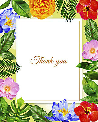 PSD 꽃 여러송이 잎 꽃백그라운드 일러스트 프레임 사람없음 컬러풀 감사카드 감사 꽃프레임 몬스테라 프레임일러스트 보테니컬아트 국내일러스트 카드프레임 식물 감정 컬러 다수 백그라운드 카드_감사 파일형식