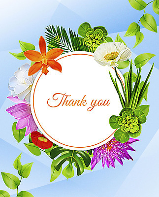 PSD 꽃 여러송이 잎 꽃백그라운드 일러스트 프레임 사람없음 컬러풀 감사카드 감사 꽃프레임 프레임일러스트 국내일러스트 카드프레임 식물 감정 컬러 다수 백그라운드 카드_감사 파일형식