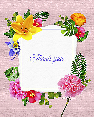 PSD 꽃 여러송이 잎 꽃백그라운드 일러스트 프레임 사람없음 컬러풀 감사카드 감사 꽃프레임 프레임일러스트 국내일러스트 카드프레임 식물 감정 컬러 다수 백그라운드 카드_감사 파일형식