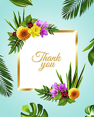 PSD 꽃 여러송이 잎 꽃백그라운드 일러스트 프레임 사람없음 컬러풀 감사카드 감사 꽃프레임 프레임일러스트 국내일러스트 카드프레임 식물 감정 컬러 다수 백그라운드 카드_감사 파일형식