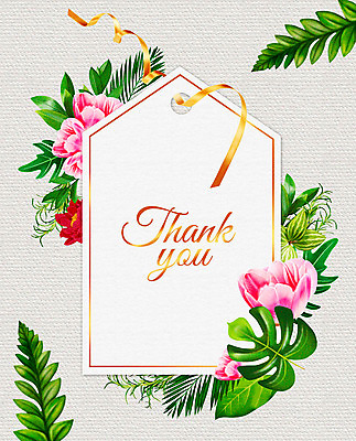 PSD 꽃 여러송이 잎 꽃백그라운드 일러스트 프레임 사람없음 컬러풀 꼬리표 감사카드 감사 꽃프레임 몬스테라 프레임일러스트 국내일러스트 카드프레임 식물 감정 컬러 다수 백그라운드 카드_감사 라벨 파일형식
