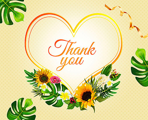 PSD 꽃 리본 여러송이 잎 꽃백그라운드 일러스트 해바라기 프레임 사람없음 컬러풀 하트 감사카드 감사 꽃프레임 몬스테라 프레임일러스트 국내일러스트 카드프레임 모양 식물 감정 컬러 다수 백그라운드 카드_감사 파일형식