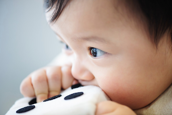 포토 JPG 스튜디오촬영 응시 남자 얼굴 실내 한명 근접촬영 옆모습 귀여움 한국인 성장 아기 보호 물기 주사위 남자아기한명만 국내포토 1 시선 뷰포인트 컨셉 모션 사람 동양인 내부 신체부위 남자한명만 남자아기만 파일형식