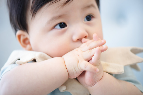 포토 JPG 스튜디오촬영 응시 남자 손가락 실내 한명 근접촬영 상반신 앞모습 귀여움 한국인 성장 아기 보호 빨다 물기 습관 남자아기한명만 국내포토 1 손 시선 뷰포인트 컨셉 모션 사람 동양인 내부 남자한명만 남자아기만 파일형식