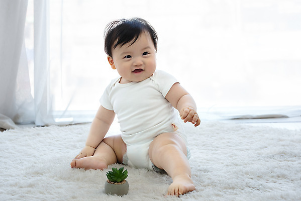 포토 JPG 스튜디오촬영 전신 식물 남자 행복 생각 실내 한명 미소 앉기 앞모습 귀여움 한국인 성장 아기 보호 흰배경 기저귀 다육식물 남자아기한명만 국내포토 1 감정 뷰포인트 백그라운드 컨셉 모션 표정 사람 동양인 내부 아기용품 흰색 남자한명만 남자아기만 파일형식
