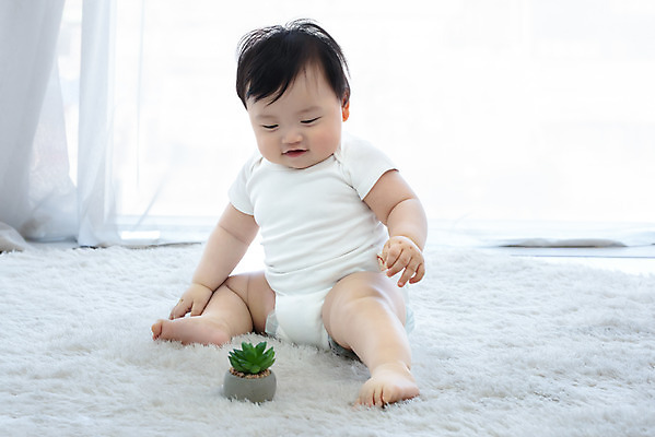 포토 JPG 스튜디오촬영 전신 식물 응시 남자 화분 생각 실내 한명 앉기 앞모습 귀여움 한국인 성장 아기 보호 흰배경 기저귀 다육식물 남자아기한명만 국내포토 1 시선 뷰포인트 백그라운드 컨셉 모션 사람 동양인 내부 아기용품 흰색 남자한명만 남자아기만 파일형식