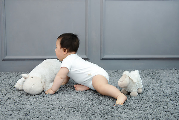 포토 JPG 스튜디오촬영 전신 남자 인형 회색배경 실내 한명 옆모습 귀여움 만지기 한국인 성장 아기 보호 기어가기 양인형 남자아기한명만 국내포토 1 뷰포인트 백그라운드 컨셉 모션 사람 동양인 내부 회색 남자한명만 남자아기만 파일형식