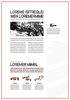 템플릿 내지 여러마리 비즈니스 흑백 사람없음 빨간색 뱀 프레젠테이션 문서템플릿 서식 레이아웃 문서 제안서 이미지템플릿 AI파일 컬러 다수 파충류 촬영기법 파일형식 벡터