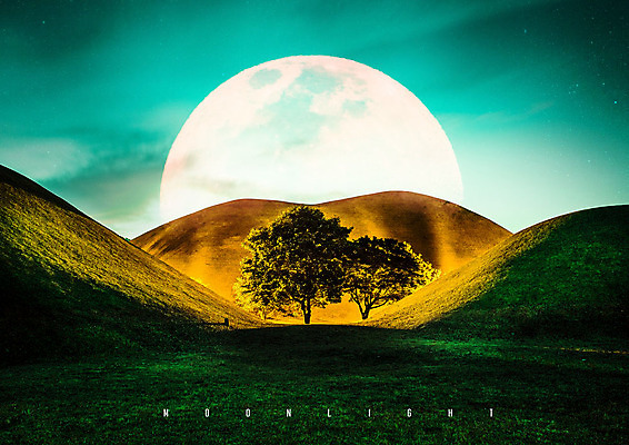 PSD 나무 편집 편집이미지 야경 자연 하늘 사람없음 야외 빛 컬러풀 평화 고요 보름달 가을 경주 언덕 대릉원 이미지편집 식물 계절 컬러 컨셉 달 경주_경상북도 야간 경상북도 생태계 파일형식 풍경_경치