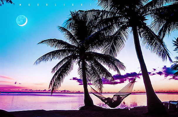 PSD 편집 편집이미지 실루엣 바다 야경 휴가 휴식 한명 해변 야외 여름 여름휴가 바캉스 컬러풀 야자수 평화 노을 여름풍경 달 화려 휴양지 해먹 이미지편집 자연요소 나무 1 계절 컬러 컨셉 촬영기법 사람 풍경 장소 침대 야간 파일형식 여름_계절 풍경_경치