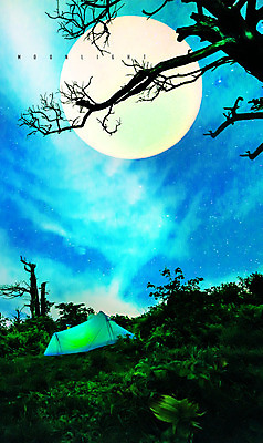 PSD 나무 편집 편집이미지 실루엣 별 야경 자연 하늘 텐트 사람없음 야외 컬러풀 고요 새벽 달 나뭇가지 신비 강원도 은하수 태백산 이미지편집 자연요소 식물 컬러 컨셉 산 한국 촬영기법 캠핑도구 야간 생태계 태백 파일형식 풍경_경치