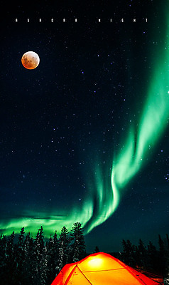 PSD 나무 편집 편집이미지 야경 밤하늘 하늘 텐트 사람없음 야외 컬러풀 고요 달 화려 야간 숲 오로라 이미지편집 자연요소 식물 컬러 컨셉 자연현상 캠핑도구 파일형식 풍경_경치