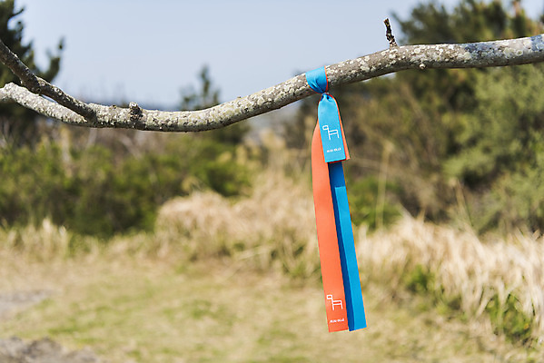 포토 JPG 주간 리본 여행 유적지 자연 표시 한국 풍경 사람없음 야외 아웃포커스 제주도 봄 나뭇가지 끈 역사 묶기 국내여행 올레길 제주도여행 간세 다크투어리즘 43유적지 셋알오름 국내포토 자연요소 나무 계절 아시아 길 고건축 모션 촬영기법 생태계 오름 서귀포 파일형식