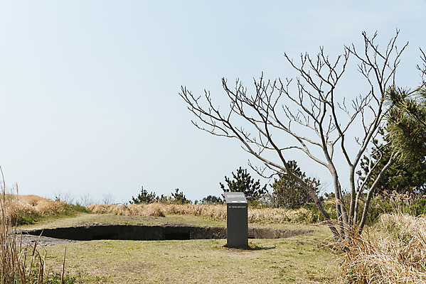 포토 JPG 주간 나무 여행 유적지 자연 하늘 한국 풍경 사람없음 야외 제주도 봄 표지판 역사 국내여행 제주도여행 다크투어리즘 고사포진지 43유적지 셋알오름 국내포토 자연요소 식물 계절 아시아 고건축 알림판 문화재 생태계 오름 서귀포 파일형식