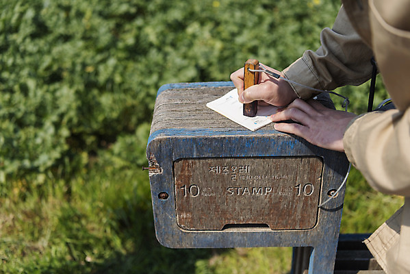 포토 JPG 주간 손 남자 여행 유적지 자연 한국 한명 풍경 야외 신체부위 30대 도장 제주도 봄 역사 코스 국내여행 올레길 인증 제주도여행 찍기 간세 알뜨르비행장 다크투어리즘 43유적지 셋알오름 국내포토 자연요소 1 계절 아시아 길 컨셉 고건축 모션 사람 장년 생태계 오름 서귀포 파일형식