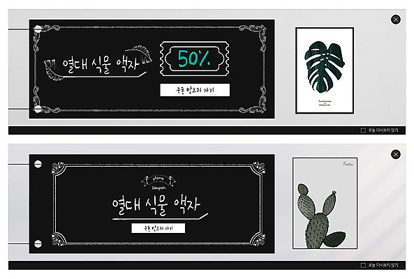 PSD 템플릿 배너 ZIP 웹템플릿 액자 선인장 이벤트 사람없음 세일 검은색 열대식물 쿠폰 몬스테라 이벤트배너 웹배너 보테니컬아트 빅배너 이미지템플릿 식물 컬러 파일형식