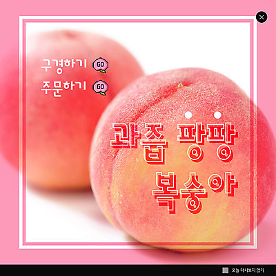 PSD 템플릿 ZIP 분홍색 웹템플릿 과일 팝업 이벤트팝업 웹팝업 이벤트 사람없음 구경 복숭아 주문 빅팝업 이미지템플릿 컬러 파일형식