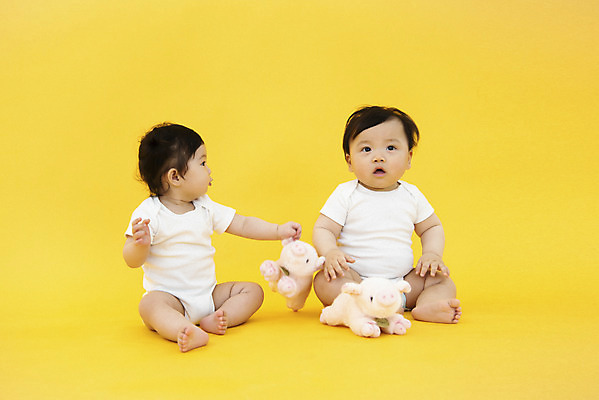 포토 JPG 스튜디오촬영 전신 응시 여자 남자 인형 실내 앉기 두명 앞모습 옆모습 귀여움 한국인 육아 성장 아기 보호 기저귀 노란배경 돼지인형 아기만 국내포토 시선 뷰포인트 백그라운드 컨셉 모션 사람 동양인 내부 노란색 아기용품 파일형식