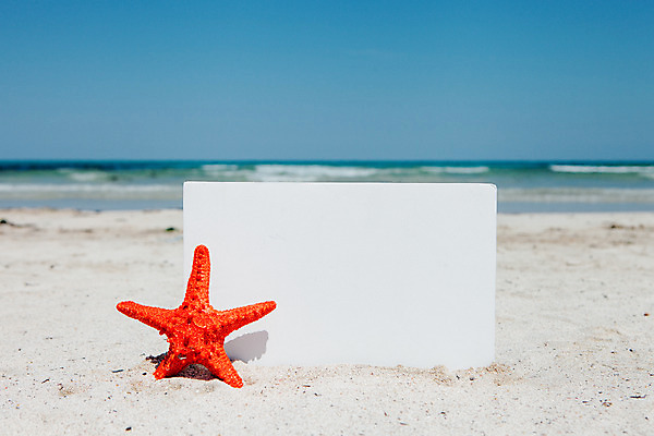 포토 JPG 주간 배너 불가사리 해변 사람없음 야외 여름 여름휴가 바캉스 모래사장 한개 제주도 맑음 오브젝트 김녕해수욕장 국내포토 자연요소 1 계절 바다 날씨 휴가 극피동물 한국 해수욕장 파일형식 여름_계절