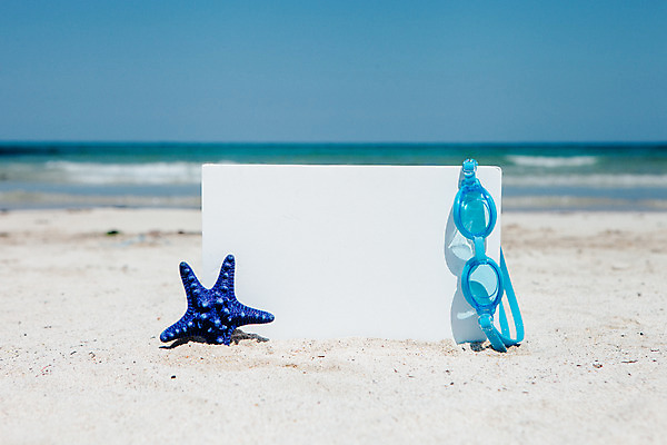 포토 JPG 주간 배너 불가사리 바캉스용품 해변 사람없음 야외 여름 여름휴가 바캉스 모래사장 제주도 맑음 물안경 오브젝트 김녕해수욕장 국내포토 자연요소 계절 바다 날씨 휴가 극피동물 한국 해수욕장 수영용품 파일형식 여름_계절