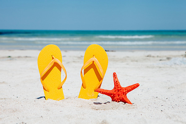 포토 JPG 주간 불가사리 해변 사람없음 야외 아웃포커스 여름 여름휴가 바캉스 모래사장 제주도 맑음 쪼리 오브젝트 김녕해수욕장 국내포토 자연요소 계절 바다 날씨 휴가 극피동물 한국 촬영기법 샌들 해수욕장 파일형식 여름_계절