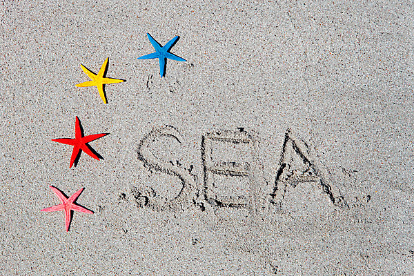 포토 JPG 주간 영어 불가사리 해변 사람없음 야외 여름 여름휴가 바캉스 하이앵글 모래사장 제주도 맑음 여러개 오브젝트 김녕해수욕장 국내포토 자연요소 문자 계절 바다 뷰포인트 다수 날씨 휴가 극피동물 한국 해수욕장 파일형식 여름_계절