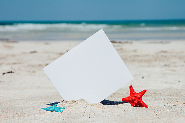 포토 JPG 주간 배너 불가사리 해변 사람없음 야외 아웃포커스 여름 여름휴가 바캉스 모래사장 제주도 맑음 오브젝트 김녕해수욕장 국내포토 자연요소 계절 바다 날씨 휴가 극피동물 한국 촬영기법 해수욕장 파일형식 여름_계절