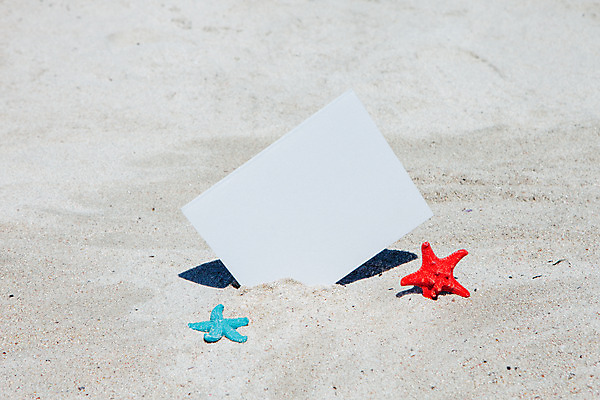 포토 JPG 주간 배너 불가사리 해변 사람없음 야외 아웃포커스 여름 여름휴가 바캉스 모래사장 제주도 맑음 오브젝트 김녕해수욕장 국내포토 자연요소 계절 바다 날씨 휴가 극피동물 한국 촬영기법 해수욕장 파일형식 여름_계절