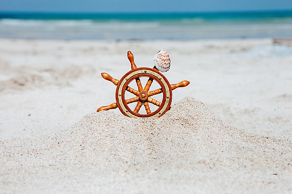 포토 JPG 주간 조개 해변 사람없음 야외 아웃포커스 여름 여름휴가 바캉스 모래사장 제주도 맑음 오브젝트 키_배핸들 김녕해수욕장 국내포토 자연요소 계절 바다 날씨 휴가 어패류 한국 촬영기법 핸들 해수욕장 파일형식 여름_계절