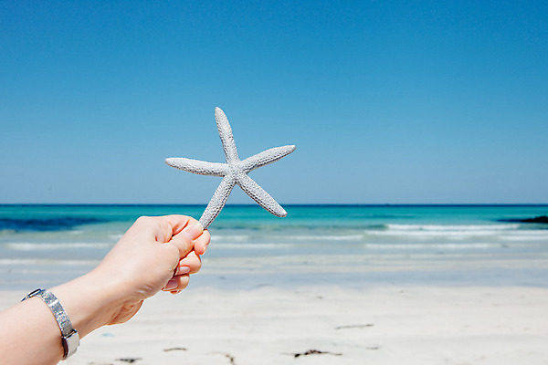 포토 JPG 주간 손 여자 불가사리 한손 한명 들기 20대 해변 야외 신체부위 여름 여름휴가 바캉스 모래사장 제주도 맑음 오브젝트 김녕해수욕장 국내포토 자연요소 1 계절 바다 모션 날씨 휴가 극피동물 한국 사람 청년 해수욕장 파일형식 여름_계절