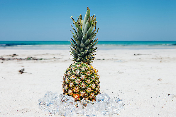 포토 JPG 주간 해변 사람없음 야외 여름 여름휴가 바캉스 모래사장 제주도 맑음 얼음 파인애플 오브젝트 김녕해수욕장 국내포토 자연요소 계절 바다 과일 날씨 휴가 한국 해수욕장 열대과일 파일형식 여름_계절