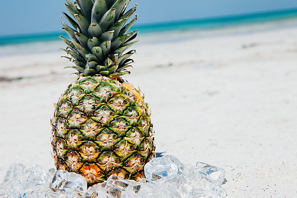 포토 JPG 주간 해변 사람없음 야외 여름 여름휴가 바캉스 모래사장 제주도 맑음 얼음 파인애플 오브젝트 김녕해수욕장 국내포토 자연요소 계절 바다 과일 날씨 휴가 한국 해수욕장 열대과일 파일형식 여름_계절