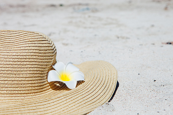 포토 JPG 주간 모자 해변 사람없음 야외 여름 여름휴가 바캉스 모래사장 제주도 맑음 오브젝트 플루메리아 김녕해수욕장 알로하 국내포토 자연요소 잡화 계절 꽃 바다 날씨 휴가 한국 인사 해수욕장 파일형식 여름_계절