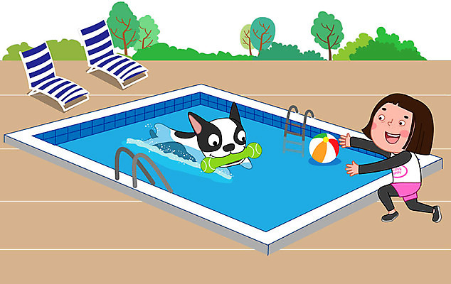 동물 한마리 여자 교육 반려견 일러스트 수영장 한명 사람 성인 일상 반려동물 수영 강아지 연습 즐거움 반려 성인여자한명만 국내일러스트 AI파일 1 감정 라이프 수상스포츠 개 여자한명만 성인여자만 파일형식 벡터