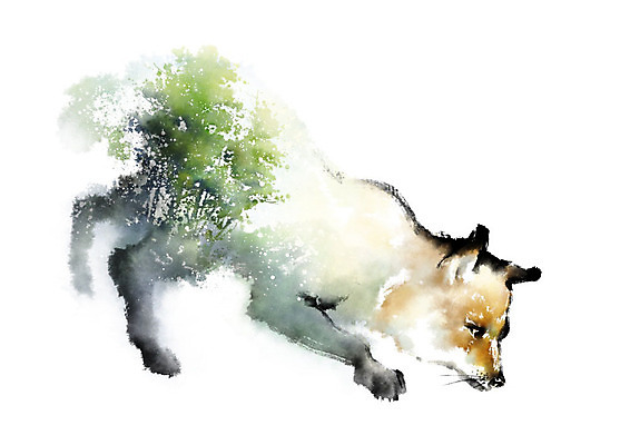 PSD 나무 동물 한마리 야생동물 일러스트 캘리그라피 붓터치 사람없음 컬러풀 자연보호 환경 그린캠페인 보호 숲 에코 여우 번짐 동물보호 멸종 국내일러스트 멸종위기종 식물 1 캠페인 컬러 컨셉 포유류 자연 사회이슈 파일형식 효과