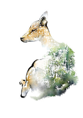 PSD 나무 동물 한마리 야생동물 일러스트 캘리그라피 붓터치 사슴 사람없음 컬러풀 자연보호 환경 그린캠페인 보호 숲 에코 번짐 동물보호 멸종 암사슴 국내일러스트 멸종위기종 식물 1 캠페인 컬러 컨셉 포유류 자연 암컷 사회이슈 파일형식 효과