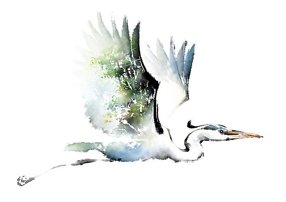 PSD 나무 동물 한마리 야생동물 일러스트 캘리그라피 조류 붓터치 사람없음 강 컬러풀 자연보호 환경 그린캠페인 비행 보호 숲 왜가리 에코 번짐 동물보호 멸종 위기 국내일러스트 멸종위기종 식물 1 캠페인 컬러 컨셉 자연 사회이슈 파일형식 효과