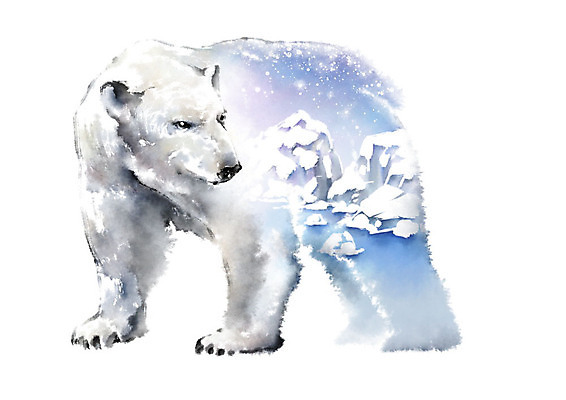 PSD 동물 한마리 야생동물 일러스트 캘리그라피 붓터치 사람없음 컬러풀 자연보호 환경 그린캠페인 얼음 눈 보호 남극 북극 에코 북극곰 백곰 번짐 빙산 동물보호 멸종 위기 국내일러스트 멸종위기종 자연요소 1 캠페인 컬러 컨셉 곰 자연 날씨 극지방 사회이슈 파일형식 효과