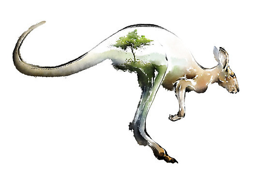 PSD 나무 동물 한마리 야생동물 일러스트 캘리그라피 붓터치 산 초원 사람없음 컬러풀 자연보호 환경 보호 에코 번짐 동물보호 캥거루 멸종 위기 국내일러스트 멸종위기종 식물 1 컬러 컨셉 포유류 자연 사회이슈 파일형식 효과