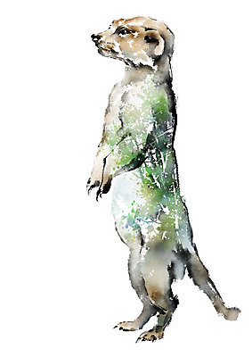 PSD 나무 동물 한마리 야생동물 일러스트 캘리그라피 붓터치 사람없음 컬러풀 자연보호 환경 그린캠페인 보호 숲 에코 번짐 동물보호 멸종 미어캣 위기 국내일러스트 멸종위기종 식물 1 캠페인 컬러 컨셉 자연 사회이슈 파일형식 효과