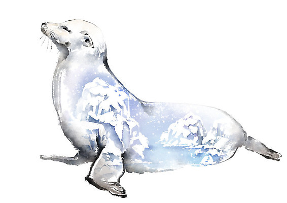 PSD 동물 한마리 야생동물 일러스트 캘리그라피 붓터치 사람없음 컬러풀 자연보호 환경 그린캠페인 얼음 보호 물개 남극 북극 에코 번짐 빙산 동물보호 멸종 위기 국내일러스트 멸종위기종 자연요소 1 캠페인 컬러 컨셉 포유류 자연 바다동물 극지방 사회이슈 파일형식 효과